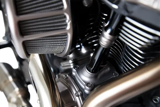 Arlen Ness Billet 10 Gauge Lifter Tappet Block Cover Titanium