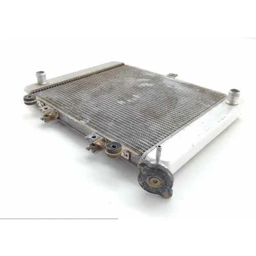 Engine Radiator Cooling 2008 Kawasaki Brute Force 750 KVF750D 4x4i 1361 x 2