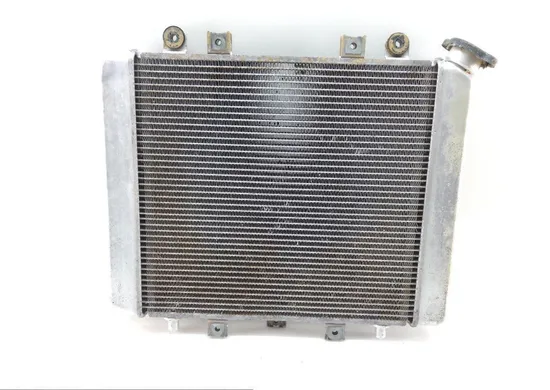 Engine Radiator Cooling 2008 Kawasaki Brute Force 750 KVF750D 4x4i 1361 x