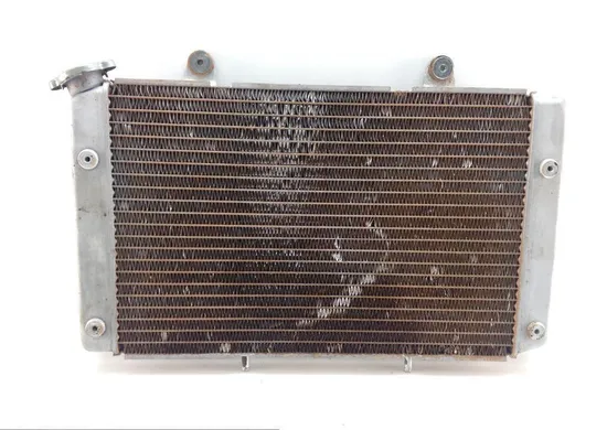 Engine Radiator Cooling 2009 Yamaha Rhino 700 YXR700F 4x4 FI 1375A
