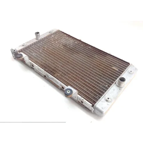 Engine Radiator Cooling 2009 Yamaha Rhino 700 YXR700F 4x4 FI 1375A 2