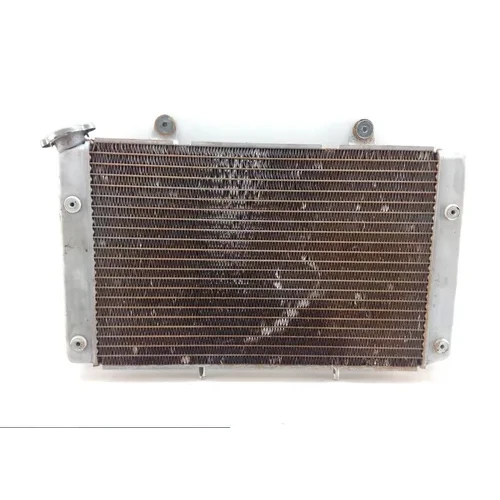 Engine Radiator Cooling 2009 Yamaha Rhino 700 YXR700F 4x4 FI 1375A 6