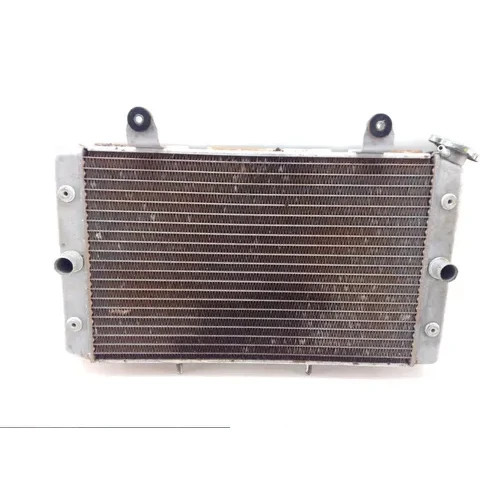 Engine Radiator Cooling 2009 Yamaha Rhino 700 YXR700F 4x4 FI 1375A 4
