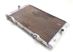 Engine Radiator Cooling 2009 Yamaha Rhino 700 YXR700F 4x4 FI 1375A
