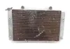 Engine Radiator Cooling 2009 Yamaha Rhino 700 YXR700F 4x4 FI 1375A