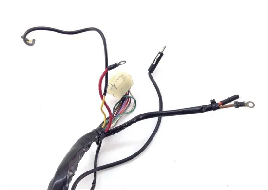 Main Engine Wiring Harness 1988 Harley-Davidson Electra Glide FLHT 1381 x