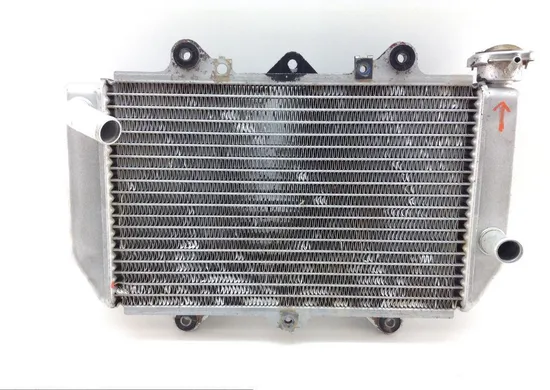 Engine Radiator Cooling 2004 Yamaha YFZ450 1387A x