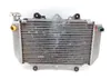 Engine Radiator Cooling 2004 Yamaha YFZ450 1387A x