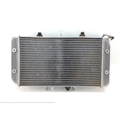 Engine Radiator Cooling 2009 Polaris Outlaw 450 MXR 1388 x 12