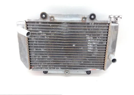Engine Radiator Cooling 2004 Yamaha YFZ450 1390A x