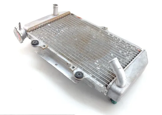 Engine Radiator Cooling 2004 Yamaha YFZ450 1390A x