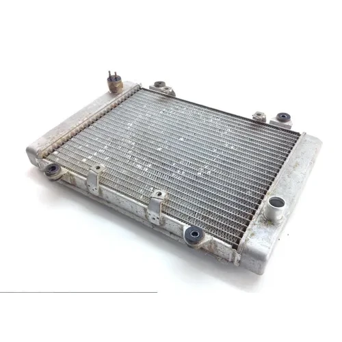 Engine Radiator Cooling 2007 Kawasaki Brute Force 650 KVF650E 4x4 1391 x 3