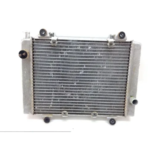 Engine Radiator Cooling 2007 Kawasaki Brute Force 650 KVF650E 4x4 1391 x 5