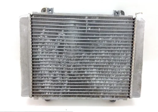 Engine Radiator Cooling 2007 Kawasaki Brute Force 650 KVF650E 4x4 1391 x