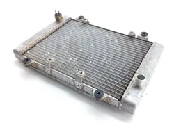 Engine Radiator Cooling 2007 Kawasaki Brute Force 650 KVF650E 4x4 1391 x