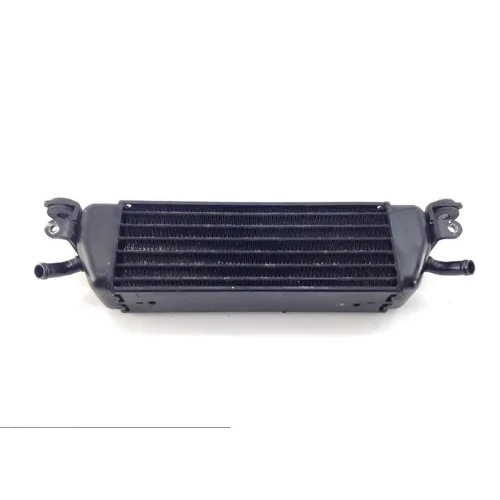 Engine Oil Cooler  2004 BMW R1150RT ABS 1393 5