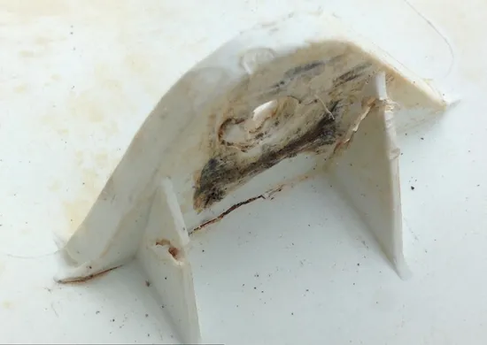 Rear Fender Fenders Plastic Suzuki LTZ250 2004 1454 x