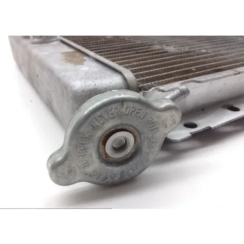 Engine Radiator Cooling 2007 Yamaha Rhino 660 YXR660FAEX 4x4 Exploring 797A 5