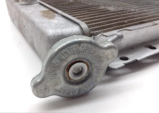 Engine Radiator Cooling 2007 Yamaha Rhino 660 YXR660FAEX 4x4 Exploring 797A