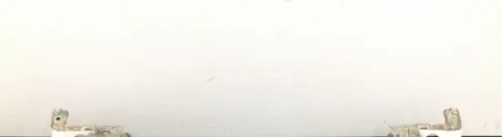 Dash Cover 2012 Kawasaki Teryx 750 KRF750R 4x4 LE FI 1488 x