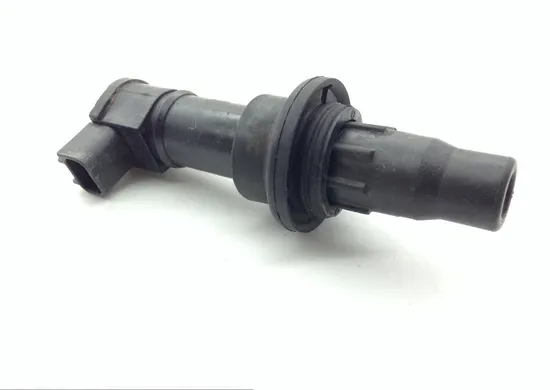 Ignition Coil 2005 Yamaha YFZ450SE Special Edition 1533A