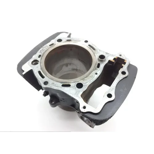 Engine Cylinder Jug W Piston Rear 2003 Kawasaki Vulcan 1500 Nomad FI 1544 x 5