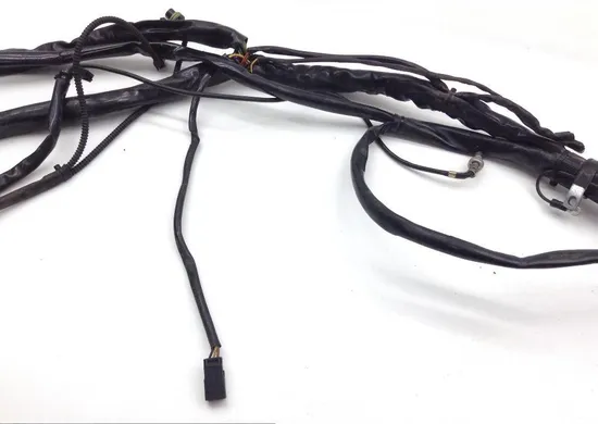 Main Engine Wiring Harness 2004 Harley Electra Glide Classic EFI FLHTCI 1563