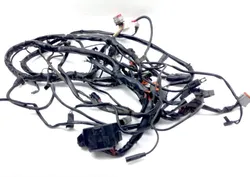 Main Engine Wiring Harness 2004 Harley Electra Glide Classic EFI FLHTCI 1563