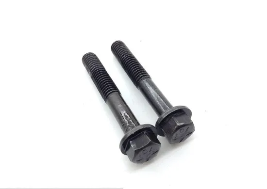 Engine Oil Pump Assembly 2006 Triumph Sprint ST ABS 1491