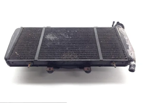 Radiator Cooling Front Fluid with Fan 2006 Triumph Sprint ST ABS 1445