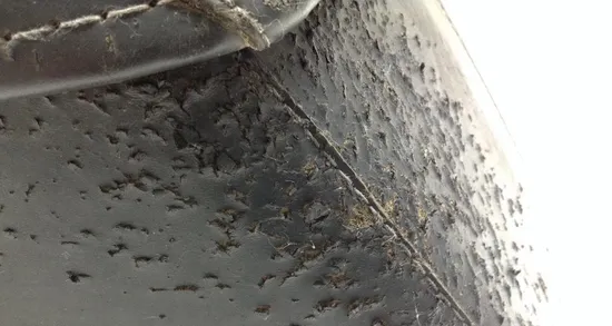 Saddlebags 2002 Harley-Davidson Electra Glide Police EFI FLHTPI 1461 x