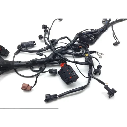 Main Engine Wiring Harness 2014 Triumph Speed Triple ABS 1511 x 7