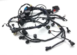 Main Engine Wiring Harness 2014 Triumph Speed Triple ABS 1511 x