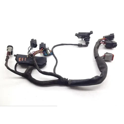 EFI Wiring Harness 96 Harley Electra Ultra Classic EFI FLHTCUI 1430 3
