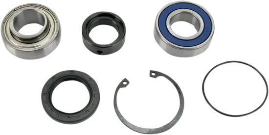 All Balls Chain Case Bearing and Seal Kit