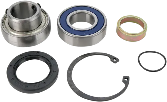 All Balls Chain Case Bearing and Seal Kit