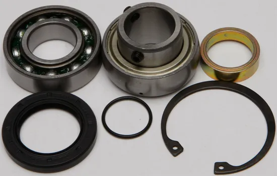 All Balls Chain Case Bearing and Seal Kit