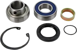 All Balls Chain Case Bearing and Seal Kit