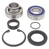 All Balls Chain Case Bearing and Seal Kit