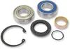 All Balls Chain Case Bearing and Seal Kit