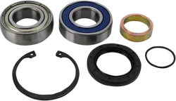 All Balls Chain Case Bearing Kit