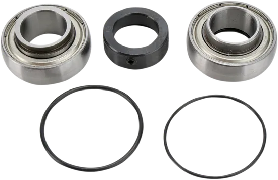 All Balls Chain Case Bearing Kit