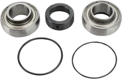 All Balls Chain Case Bearing Kit