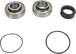 All Balls Chain Case Bearing and Seal Kit