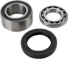 All Balls Jackshaft Chain Case Bearing and Seal Kit