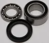 All Balls Jackshaft Chain Case Bearing and Seal Kit