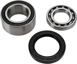 All Balls Chain Case Bearing and Seal Kit