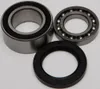 All Balls Chain Case Bearing and Seal Kit