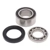 All Balls Chain Case Bearing and Seal Kit