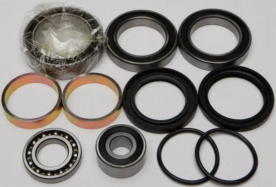 All Balls Chain Case Bearing Kit